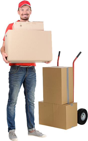 Packers and Movers Bhiwani